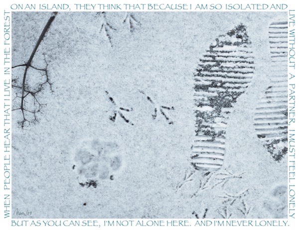 My Snowy Deck (photo, digital print)