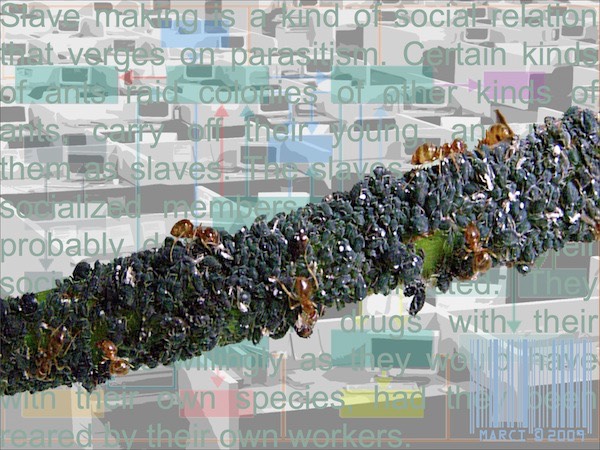 Wage Slaves (photo, digital print)