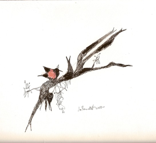 bird on branch lr