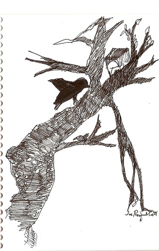 crow on branch