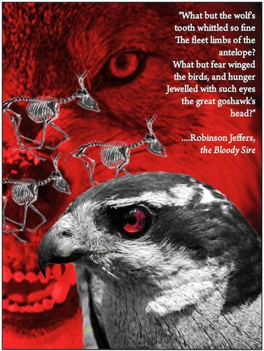 Evolution website