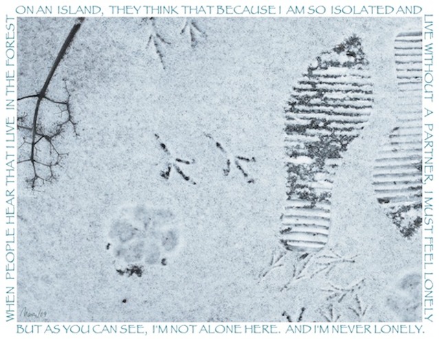 my snowy deck website