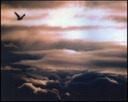 cloud 17 website