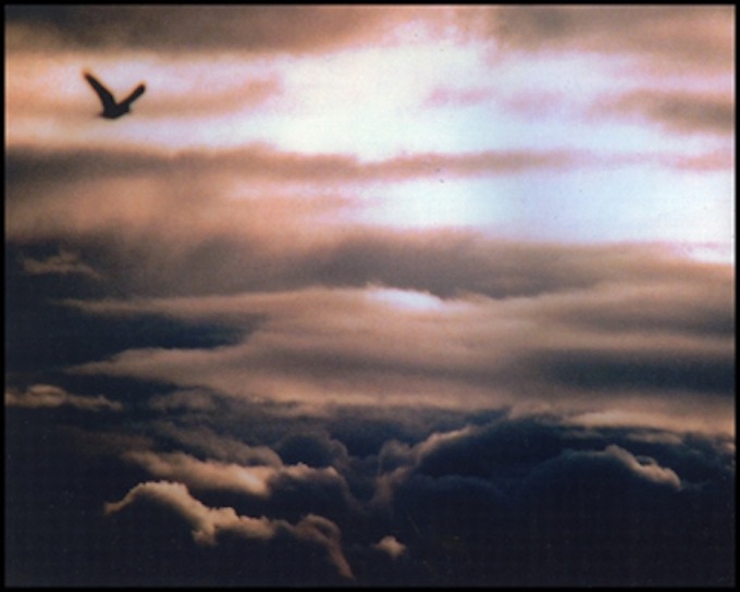 cloud 17 website