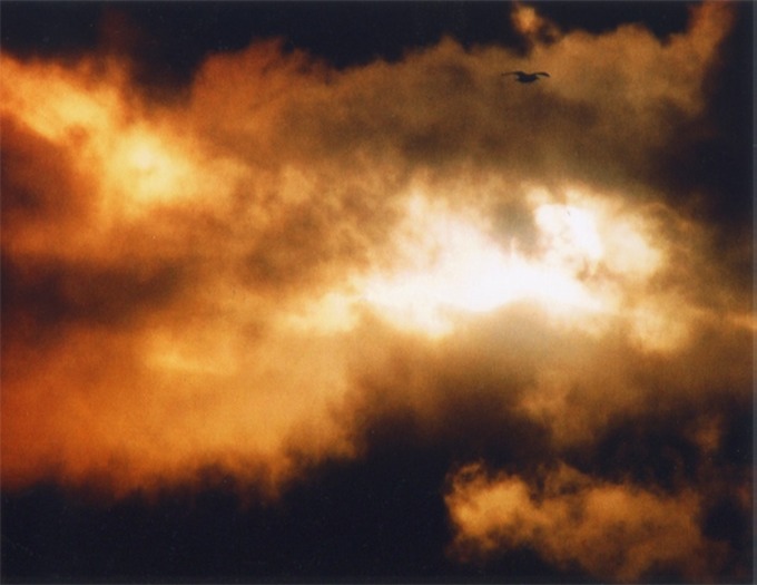 cloud 7 websitte