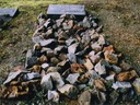 dead guys 19 website