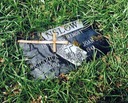 dead guys 2 website