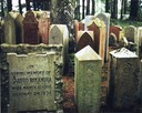 dead guys 5 website