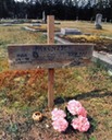 dead guys 9 website