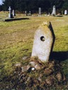 dead guys 12 website