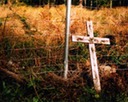 dead guys 14 website