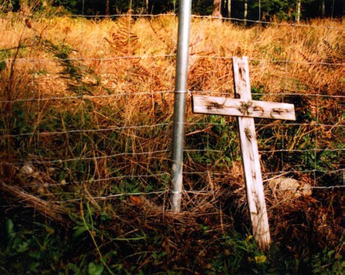 dead guys 14 website