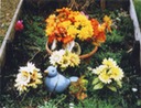 dead guys 26 website
