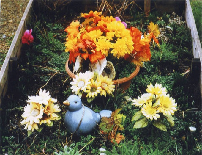 dead guys 26 website
