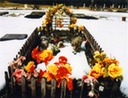 dead guys 28 website
