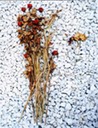 dead guys 31 website