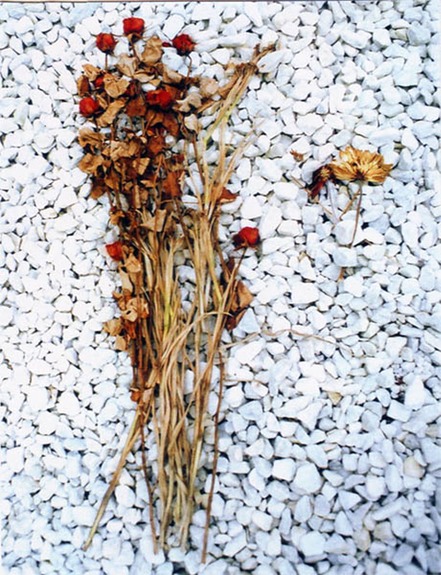 dead guys 31 website