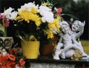 dead guys 32 website