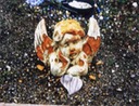 dead guys 8 website